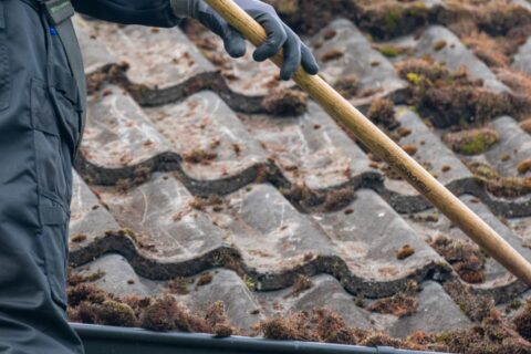 Staffordshire Roof Moss Removal Experts