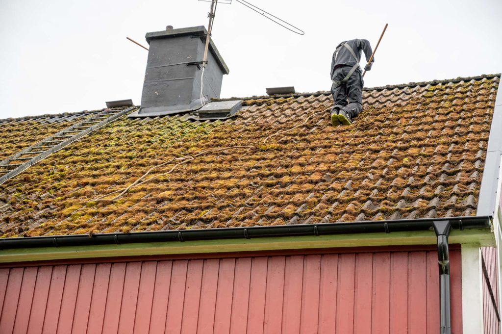 Roof moss removal Staffordshire